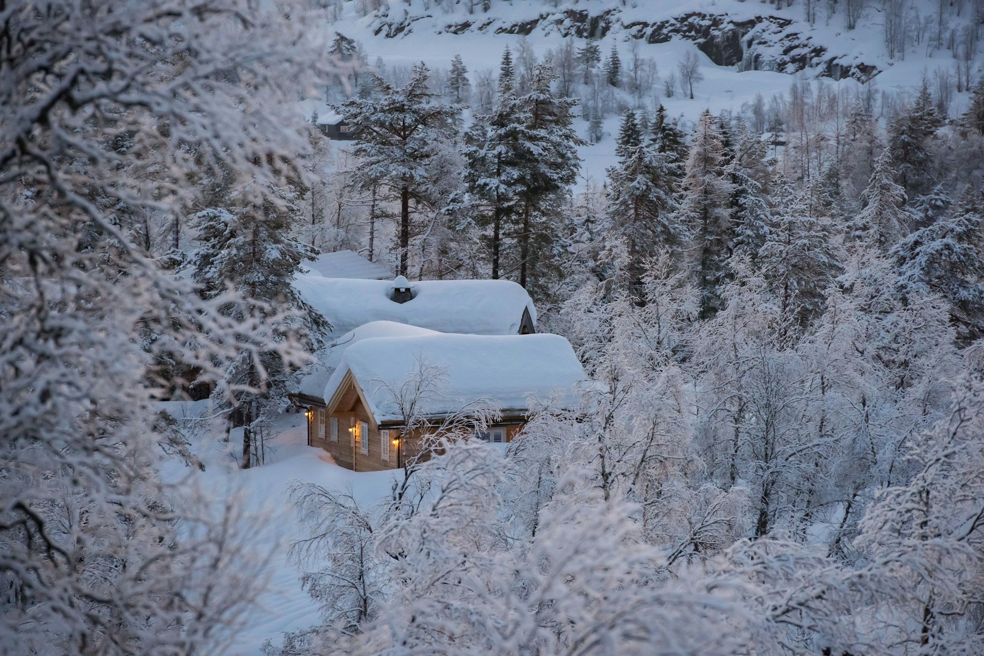 Заглавное фото новости